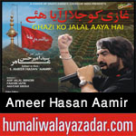 http://www.humaliwalayazadar.com/2015/07/ameer-hasan-aamir-nohay-2016.html