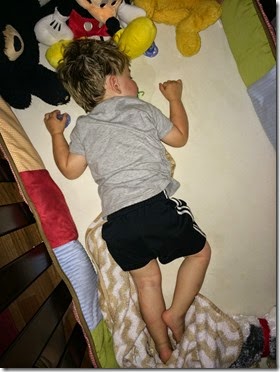 IMG_0806