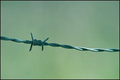 Barbedwire