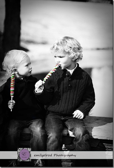 _DSC0111with colorWM