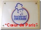 emeraude coeur_logo