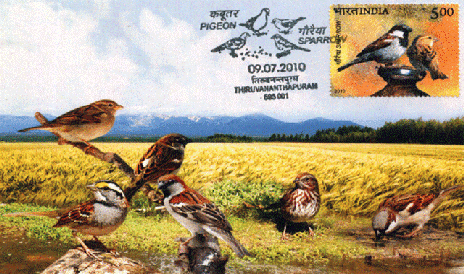 birds maxim card 2