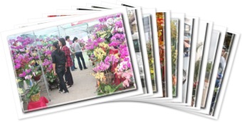 View Không khi đón Tết ở Hà Nội