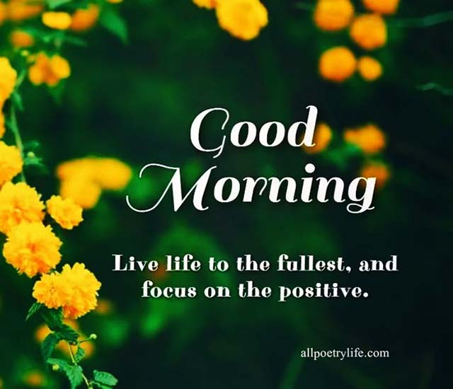 Good Morning Beautiful Quotes and Wishes Start Your Day