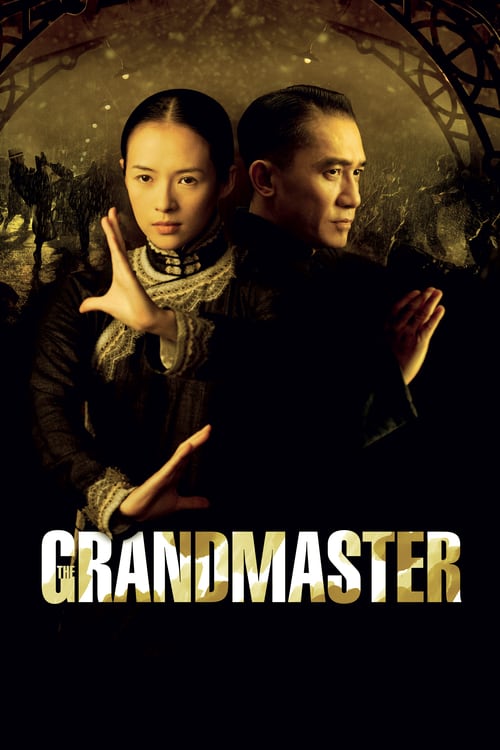 Descargar The Grandmaster 2013 Blu Ray Latino Online