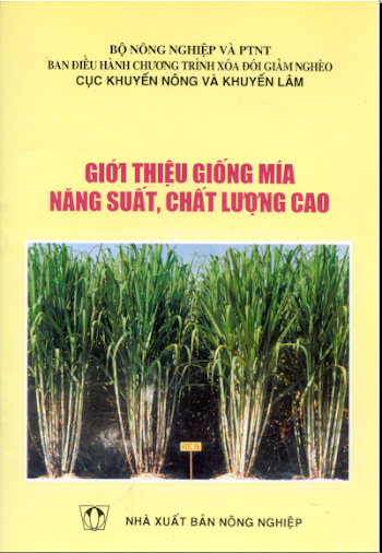 Giới thiệu giống mía năng suất, chất lượng cao - Cục KNKL