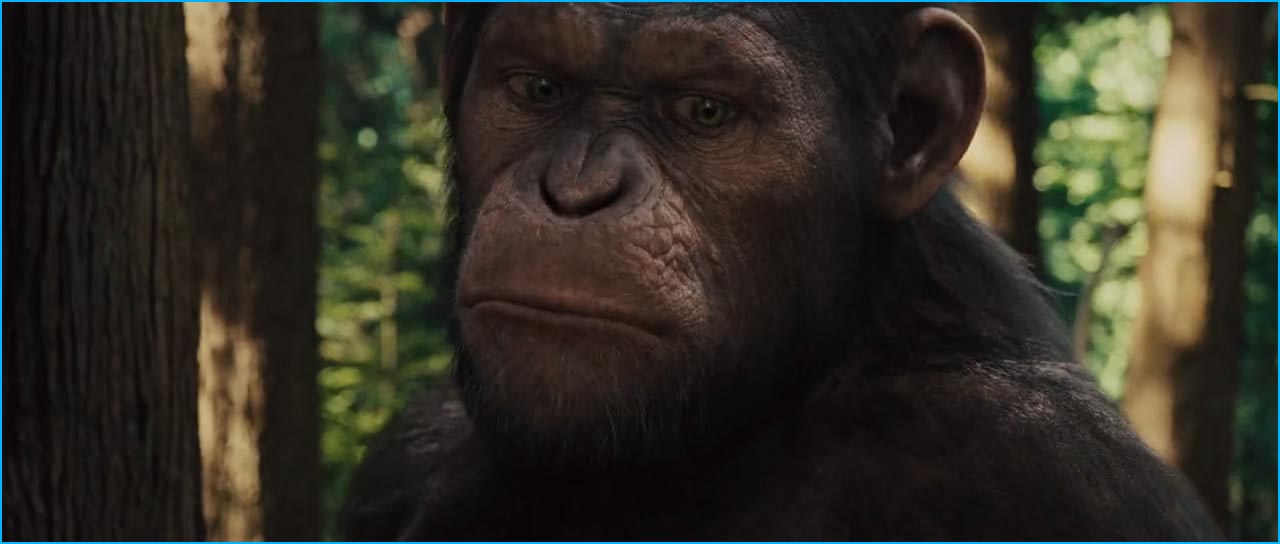 2011 Rise Of The Planet Of The Apes