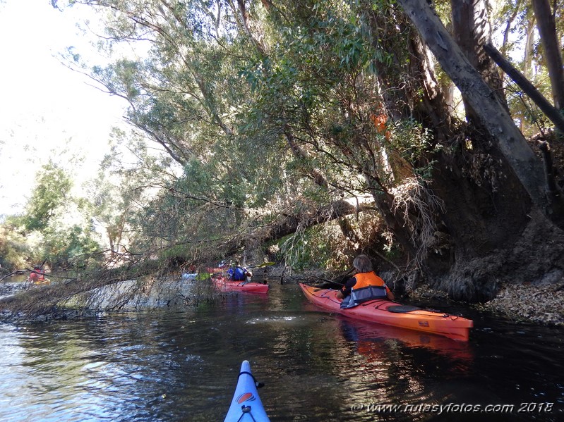 Kayak río Palmones