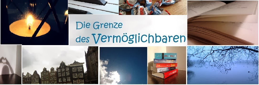 Die Grenze des Vermöglichbaren