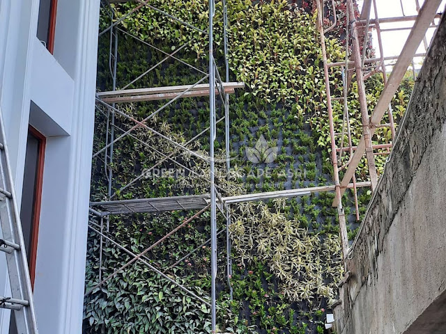 Jasa Pembuatan Vertical Garden Sarolangun - Tukang Taman Vertikal Profesional