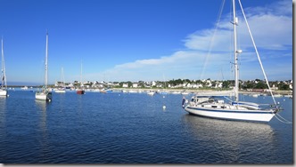 IMG_0753