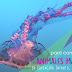 Recursos: 7 Ideas para crear animales marinos
