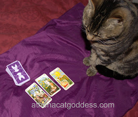 Assisting Mum with Tarot Readings