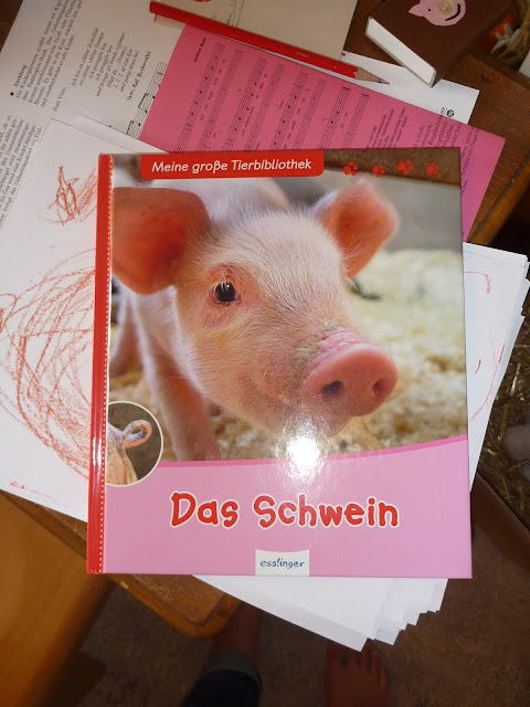 Schweine Kindergarten Buch