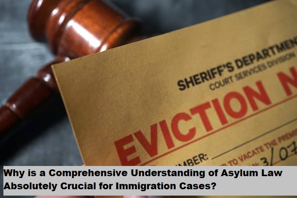 Why is a Comprehensive Understanding of Asylum Law Absolutely Crucial for Immigration Cases?