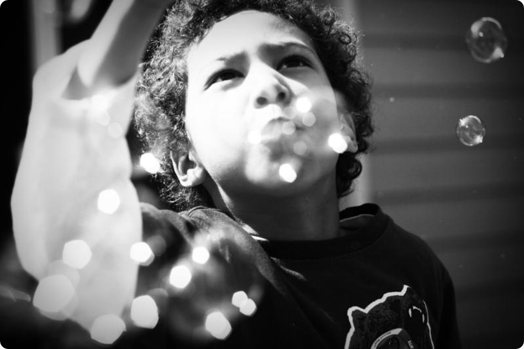 _MG_2629 b_3
