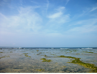 Ujung Genteng Cipanarikan Cibuaya Cikaso