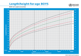 Grafik tinggi/panjang badan terhadap umur untuk anak laki-laki