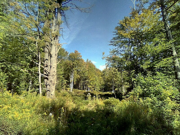 Jericho Road in Hartford Township, Vermont -- photo by Gabriel L. Daniels