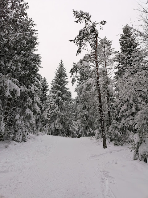 Sauerland wandern Wetter blog Winterberg Bremberg Loipe