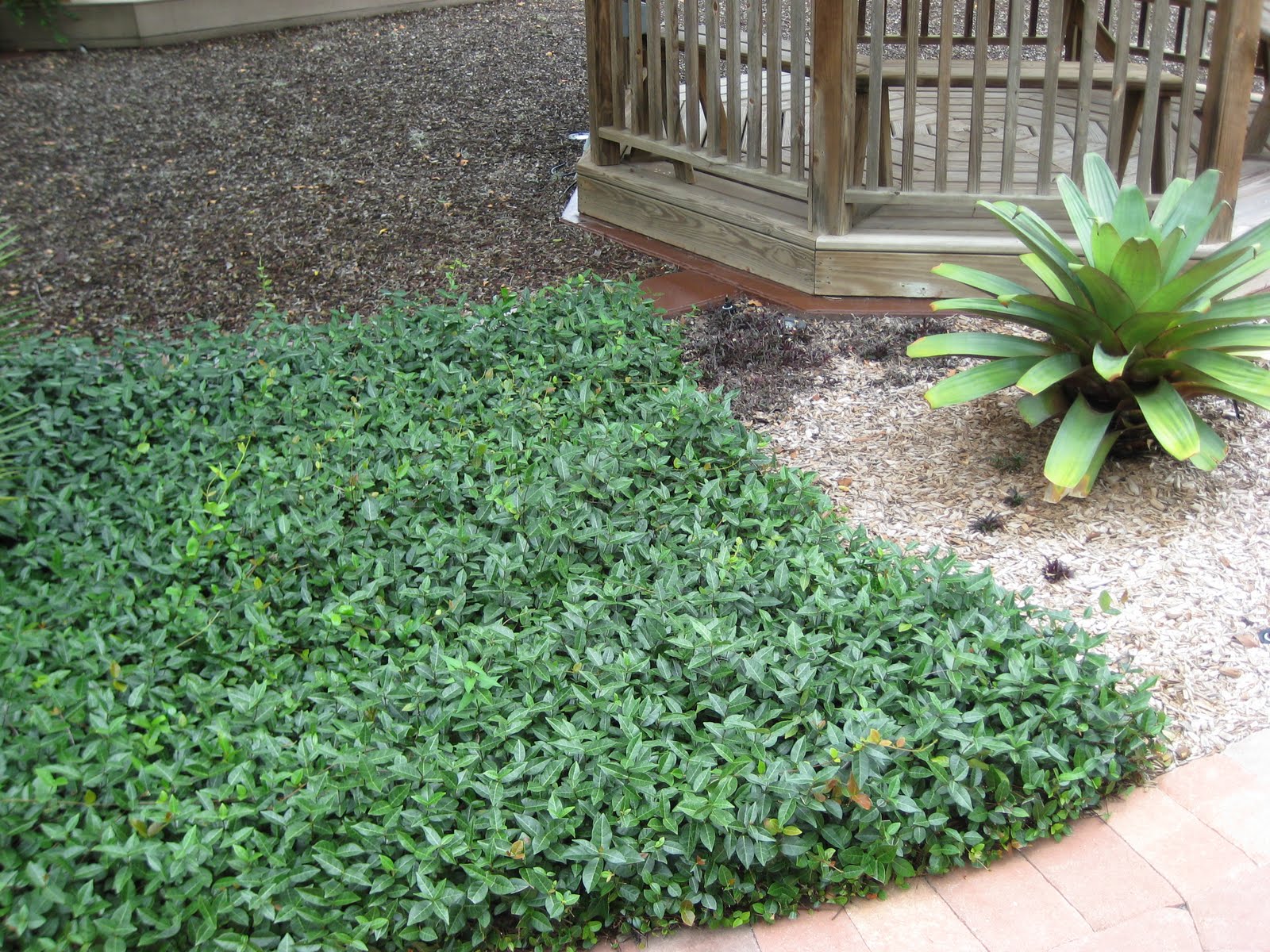 Central Texas Landscaping