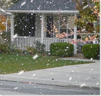 First Winter Storm