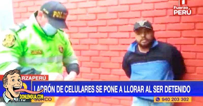 Delincuente venezolano se puso a llorar tras ser capturado en Perú