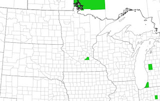 Distribution map of pale swallow wort in the Upper Midwest. So far, only one metropolitan-area county is highlighted.