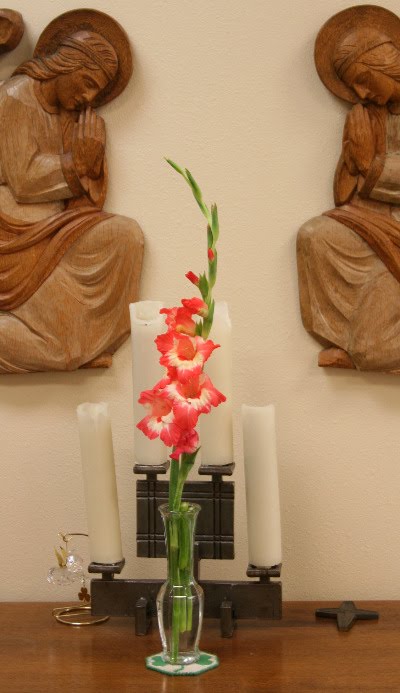 The gladioli yes that 39s the Dictionary advice on the plural are in bloom