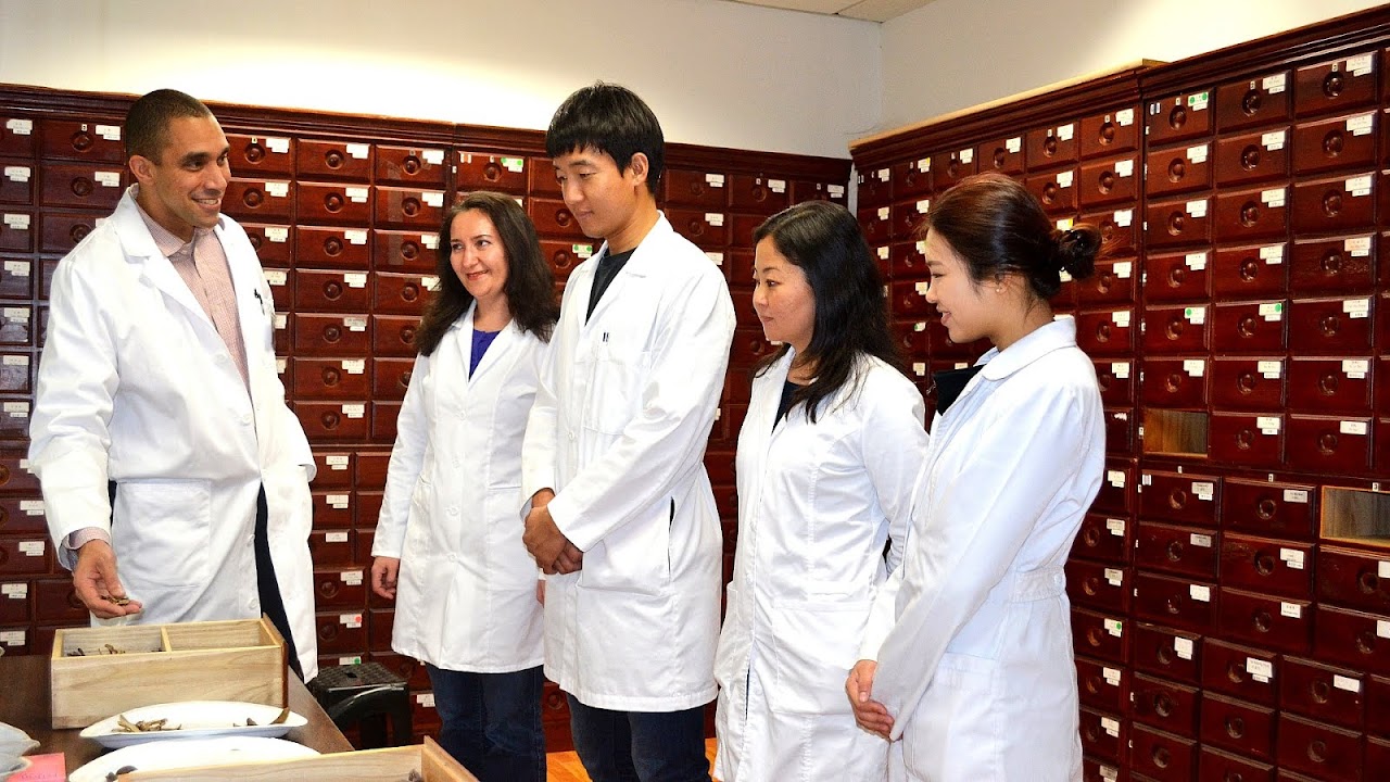 Master of Medicine