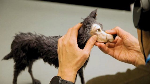 Manipulando un perro para utilizar la técnica de stop motion en la película Isla de Perros de Wes Anderson