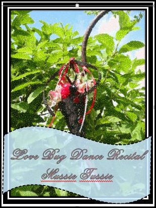 Tussie Mussie Dance Recital Gift
