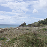 View album