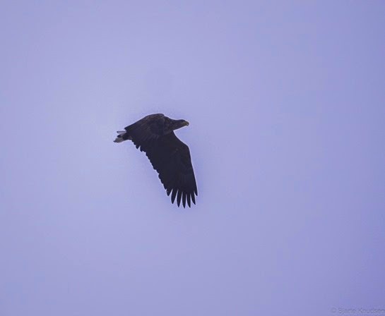 P1130424