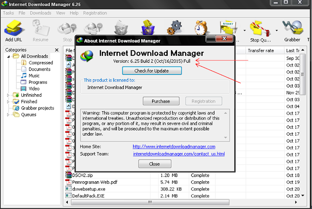 Download IDM Langsung Full Version - Devinioo