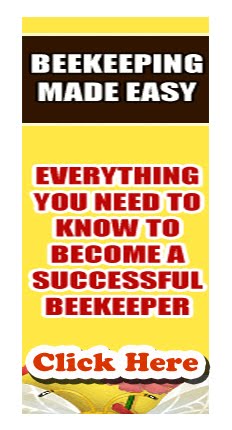 beginner beekeeper course