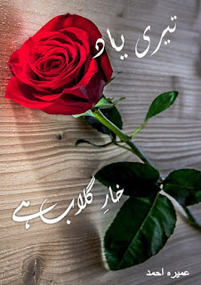 urdu novel Teri Yaad Khaar-e-Gulaab Hai read online free,urdu novel Teri Yaad Khaar-e-Gulaab Hai free online reading and downloading,romantic urdu novel online reading,Socal Romantic Novel,