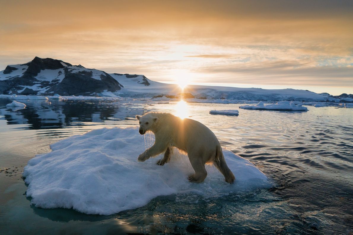 Groenlandia podría perder más hielo este siglo que en los últimos 12.000 años