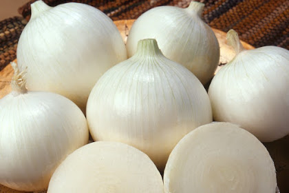 Are Onions Good for You to Loss Weight?