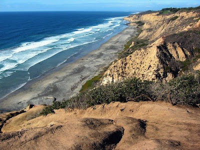 Blacks Beach wallpapers