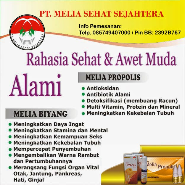 http://www.agenpropolissurabaya.com