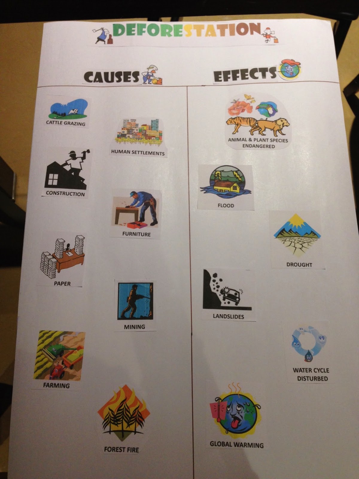 Deforestation Chart - Causes & Effects