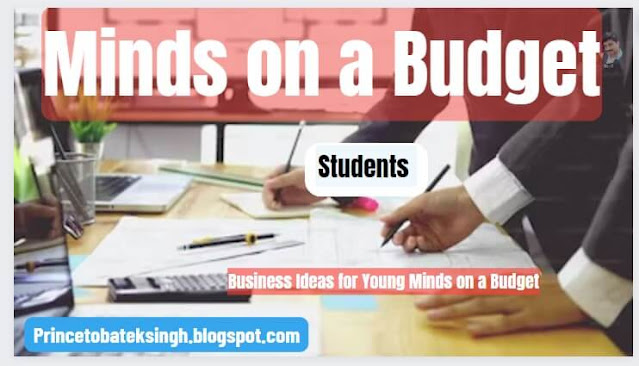 Business Ideas for Young Minds on a Budget
