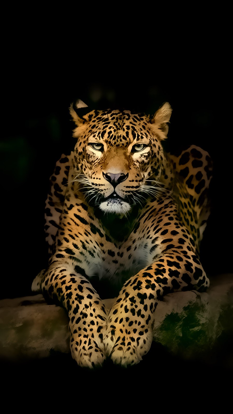 Wallpaper Android Macan Tutul