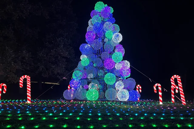 A magical Christmas tree and candy canes all lit up