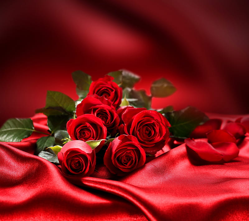 A Red Red Rose || Robert Burns || Compulsory English Grade 11