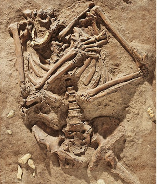 Слепок неандертальского захоронения в пещере Кебара, Израиль, возраст около 60 000 лет