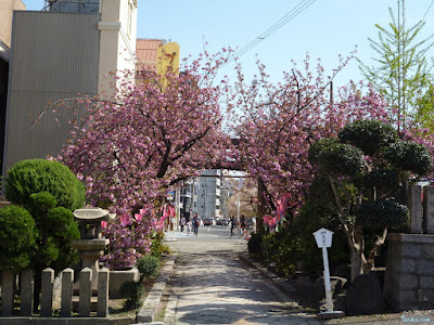 櫻宮神社献花祭