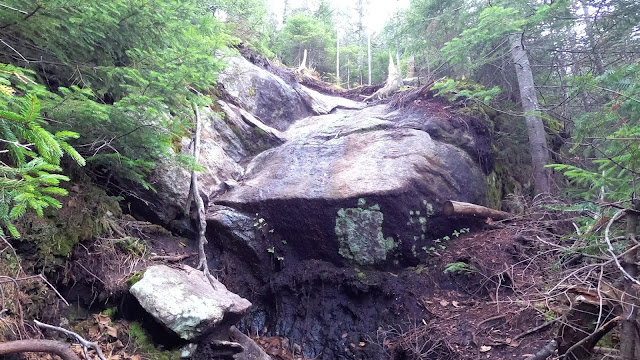 Sentier pédestre en direction du mont Blake dans les Adirondacks