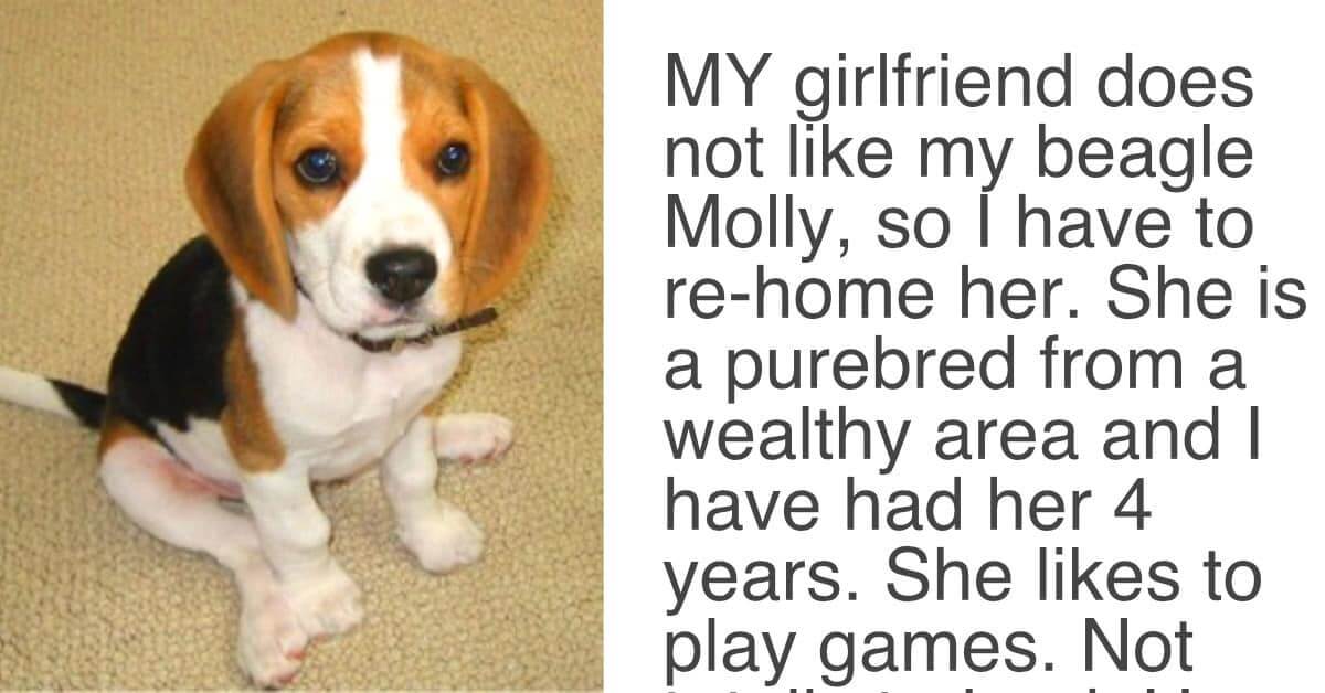 When A Woman Asked Her Boyfriend To Choose Between Her And His Dog, She Didn't Expect This Answer